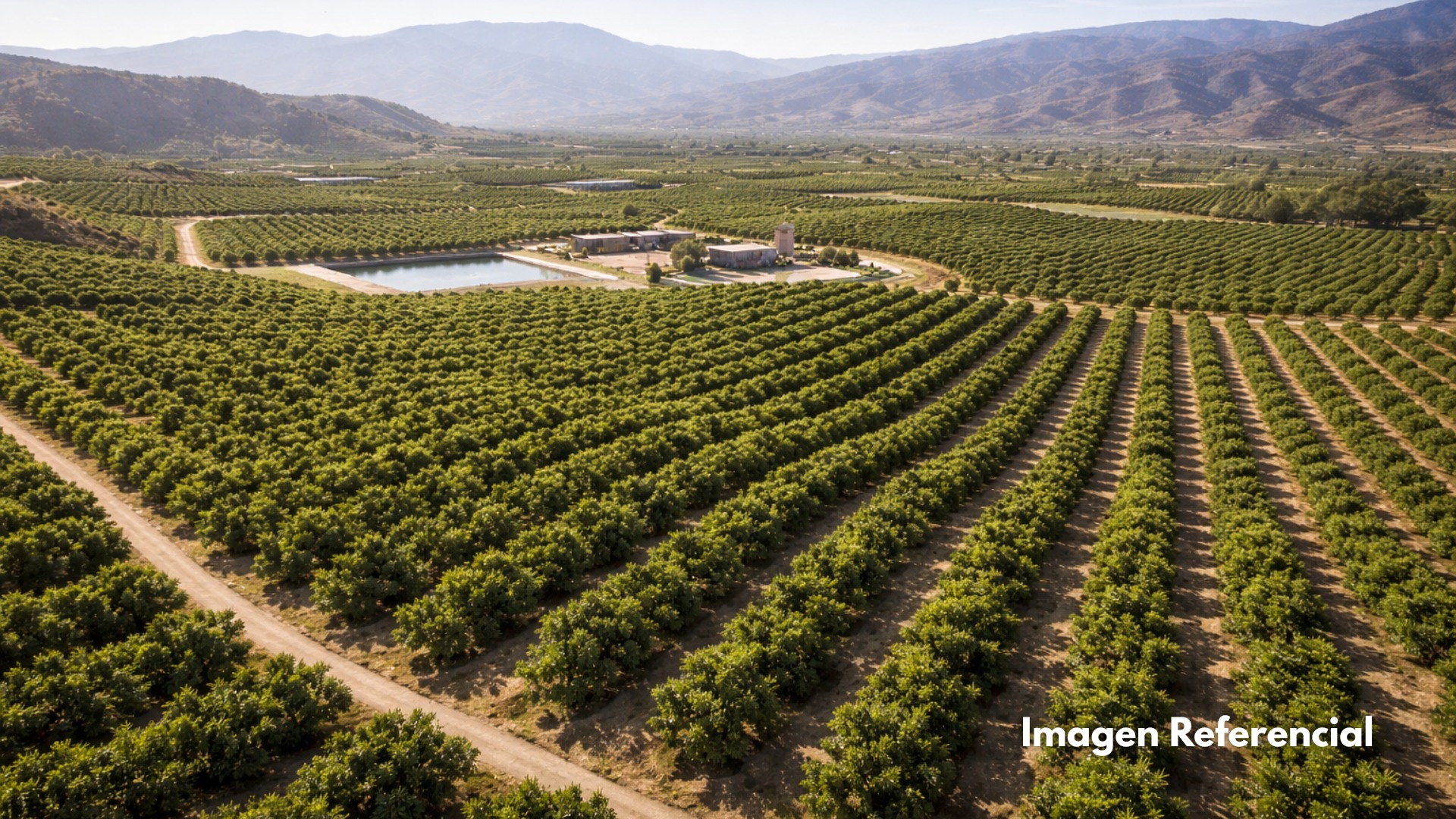 Fondo de Inversión Agrícola Especializado en Tierras de Aguacate – México